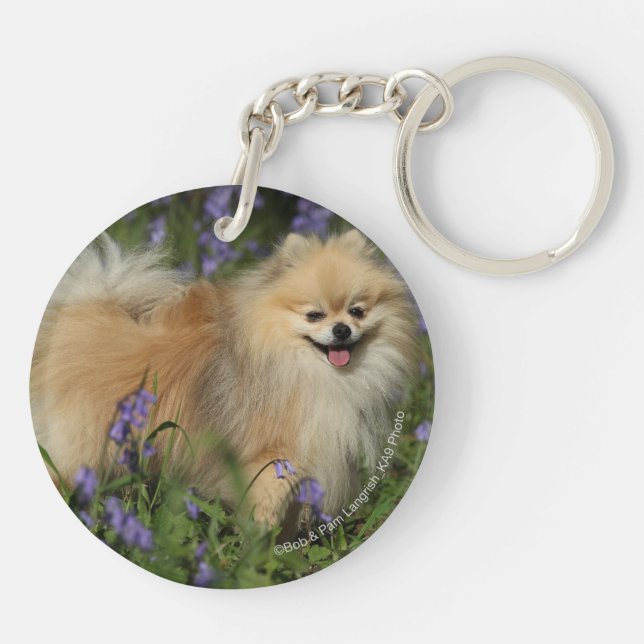 Pomeranian Looking at Camera in the Bluebells Keychain (Back)