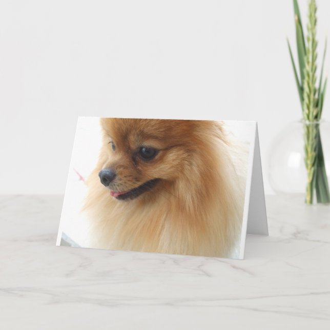 Pomeranian Lover Card (Front)