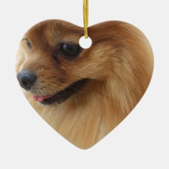 Pomeranian Lover Ceramic Ornament (Front)
