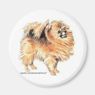 Pomeranian! Magnet