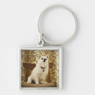 Pomeranian mix keychain