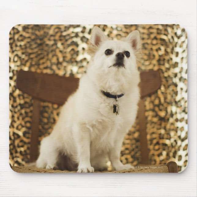 Pomeranian mix mouse pad (Front)