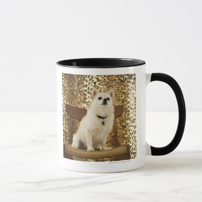 Pomeranian mix mug (Right)