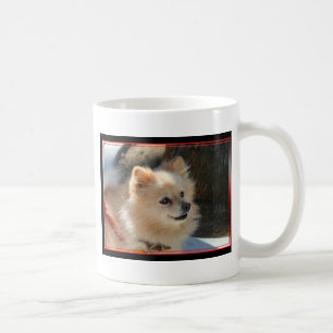 Pomeranian mug