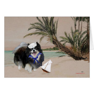 Pomeranian noir avec voilier