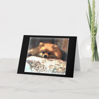 Pomeranian Notecard