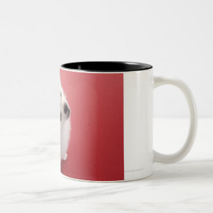 Pomeranian on the Red Carpet Two-Tone Coffee Mug