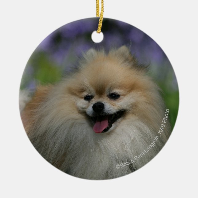 Pomeranian Panting Ceramic Ornament (Front)