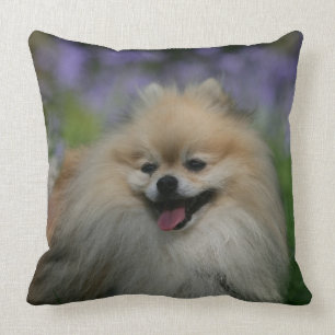 Pomeranian Panting Throw Pillow
