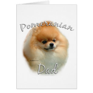 Pomeranian Papa 2