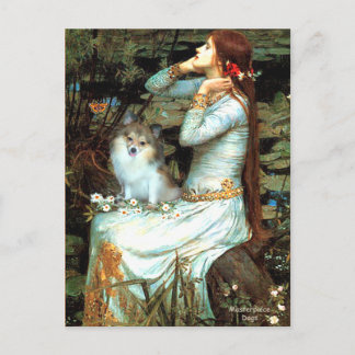 Pomeranian (parti2) - Mona Lisa Postcard