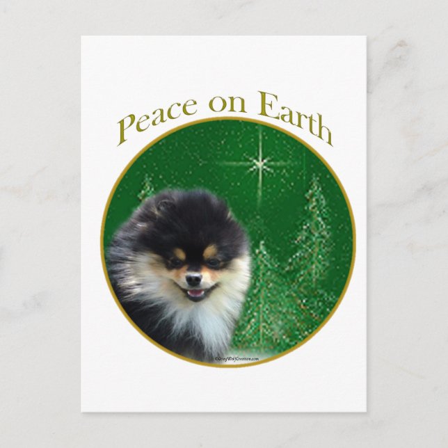 Pomeranian Peace Postcard (Front)