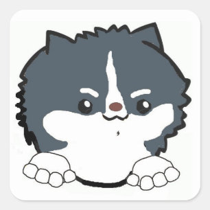 pomeranian peeking tri coloured square sticker