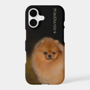 Pomeranian Phone Case