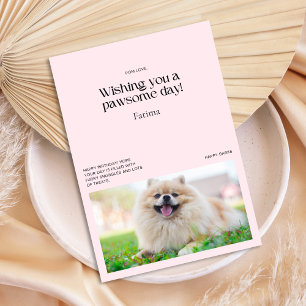 Pomeranian Pink Vibes Custom Birthday Card