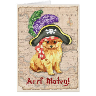Pomeranian Pirate