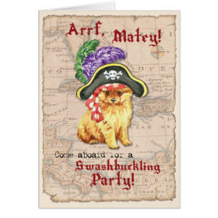 Pomeranian Pirate