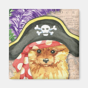 Pomeranian Pirate Magnet