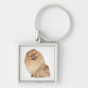 Pomeranian Pom Pom Puppy Dog Keychain