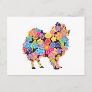Pomeranian Postcard