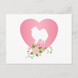 Pomeranian Postcard