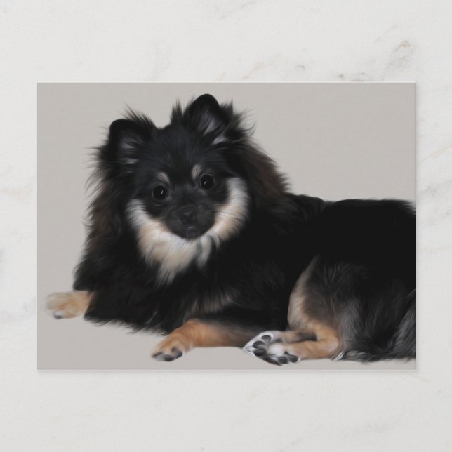 Pomeranian Postcard (Front)