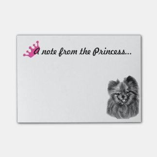 Pomeranian Princess Notes with original artwork