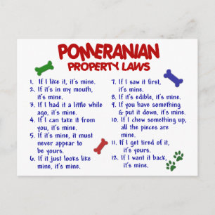 POMERANIAN Property Laws 2 Postcard