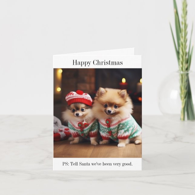 Pomeranian Puppies Christmas Card (Front)