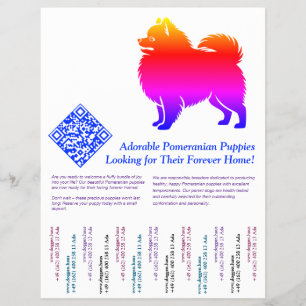 Pomeranian Puppies  Flyer