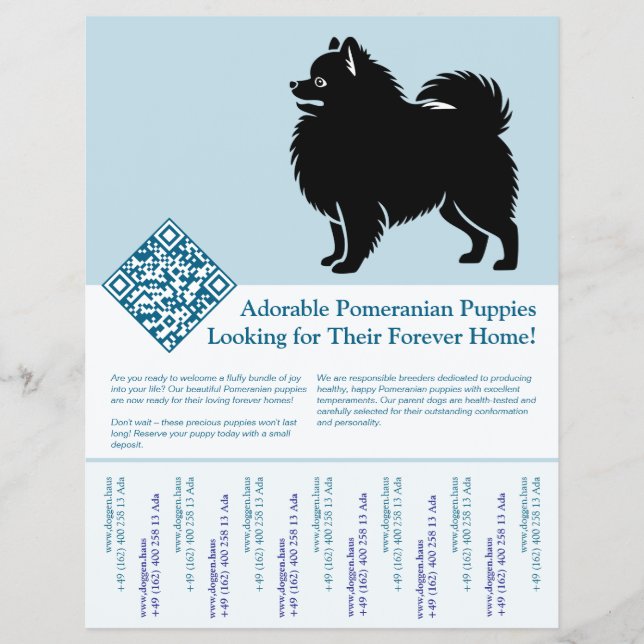 Pomeranian Puppies  Flyer (Front)