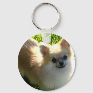 Pomeranian Puppies Keychain