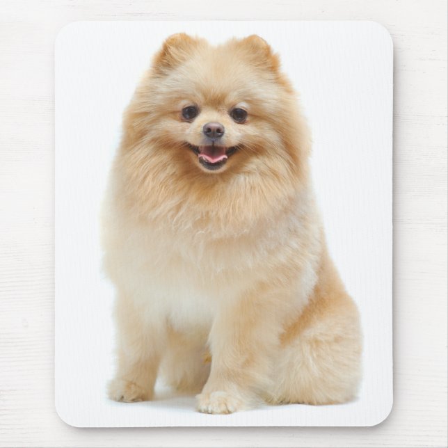 Pomeranian Puppy Dog Mousepad (Front)