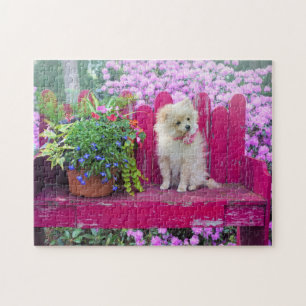 Pomeranian Puppy Dog on Cottage Garden Bench  Jigsaw Puzzle