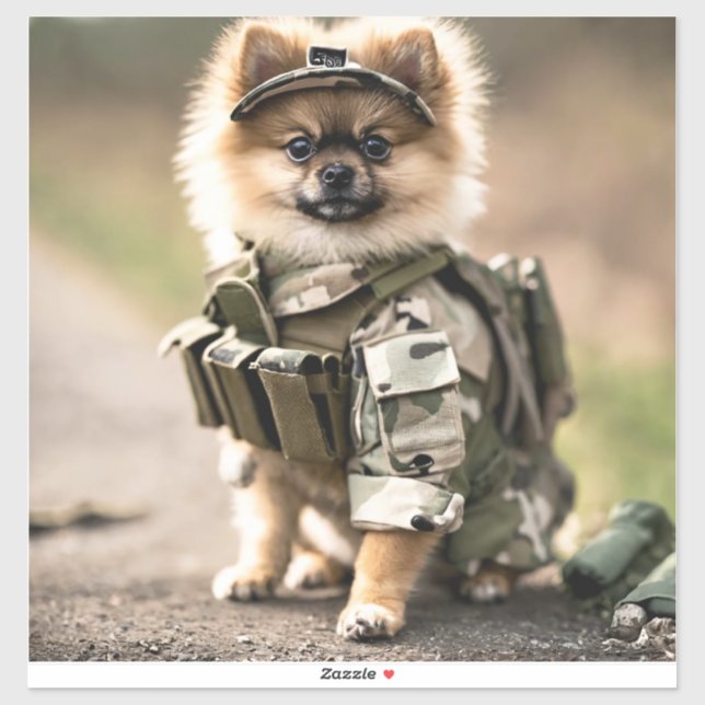 Pomeranian Puppy Ready for Duty (Sheet)
