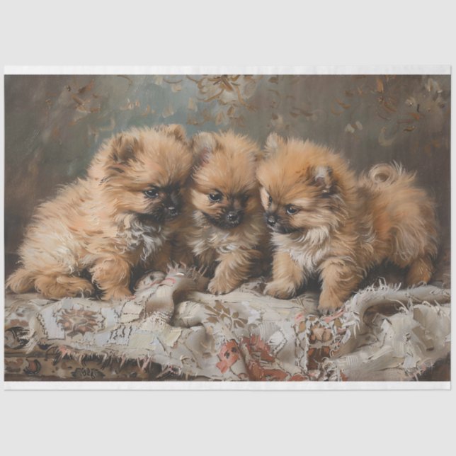 Pomeranian Puppy Trio Vintage Decoupage Tissue Paper (Front)