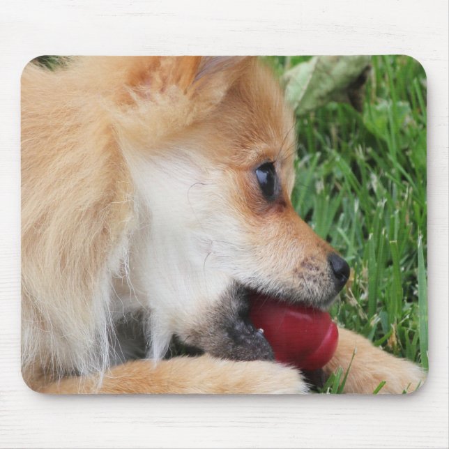  Pomeranian Puppy with Ball Mouse Pad (Front)