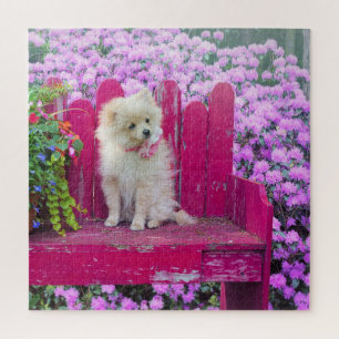 Pomeranian Puzzle Dogs Flowers Floral