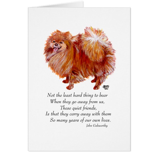 Pomeranian Rainbow Bridge (Front)