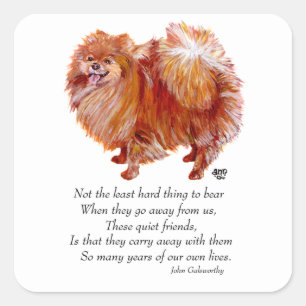 Pomeranian Rainbow Bridge Square Sticker