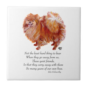 Pomeranian Rainbow Bridge Tile