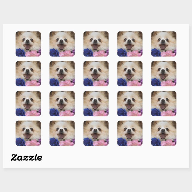 Pomeranian Rescue Dog Sticker  (Sheet)
