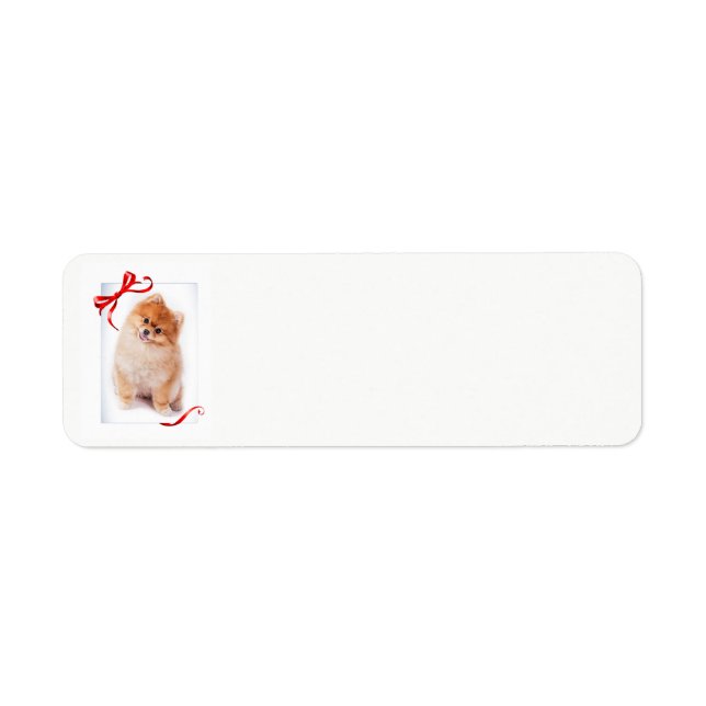 Pomeranian Return Address Labels (Front)