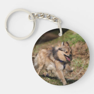 Pomeranian Running with Harness on Keychain