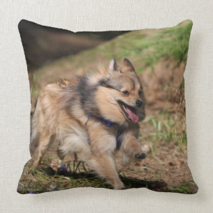 Pomeranian Running with Harness on Throw Pillow