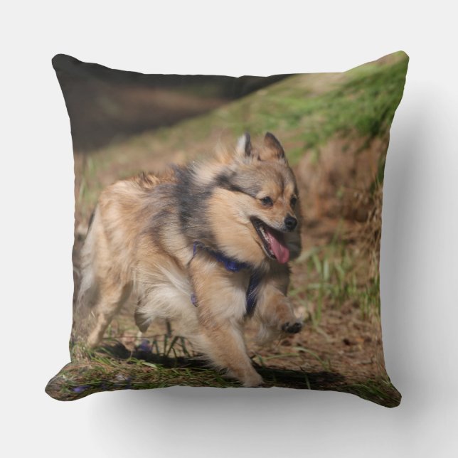 Pomeranian Running with Harness on Throw Pillow (Front)