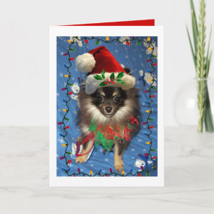 POMERANIAN SANTA HOLIDAY CARD