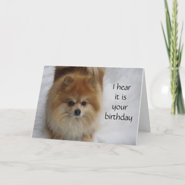 POMERANIAN SAYS NOT **40** EVERY YEAR CELEBRATE CARD (Front)