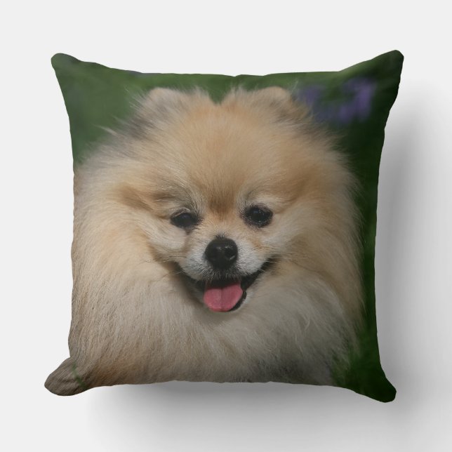 Pomeranian Smiling Throw Pillow (Front)