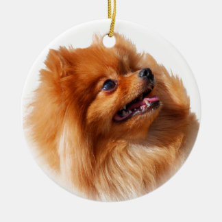 Pomeranian Spitz Ceramic Ornament
